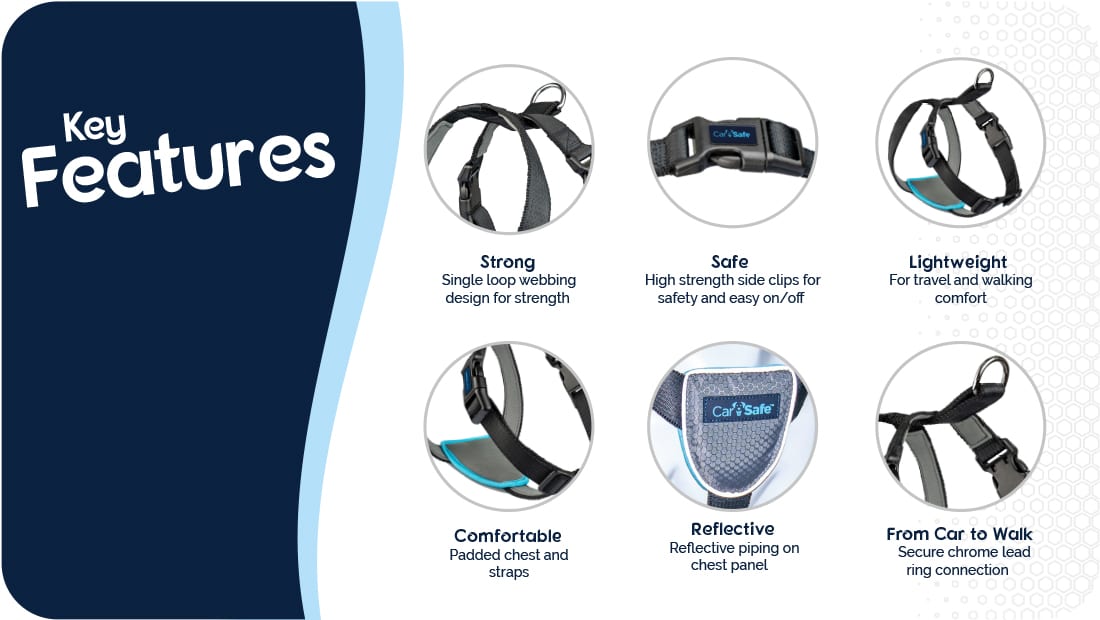 CarSafe – Travel Harness – Black - image 6
