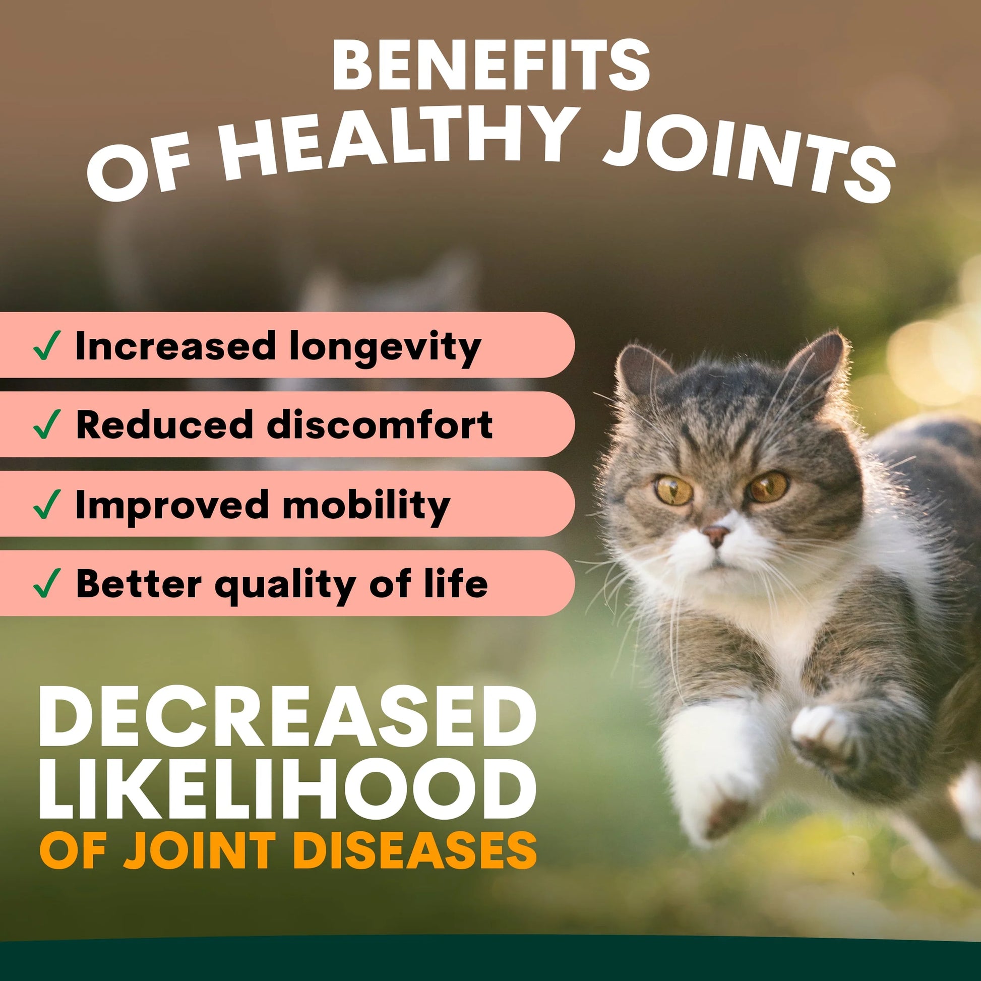 PetzPark – Hip + Joint – For Cats - image 3