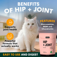 PetzPark – Hip + Joint – For Cats