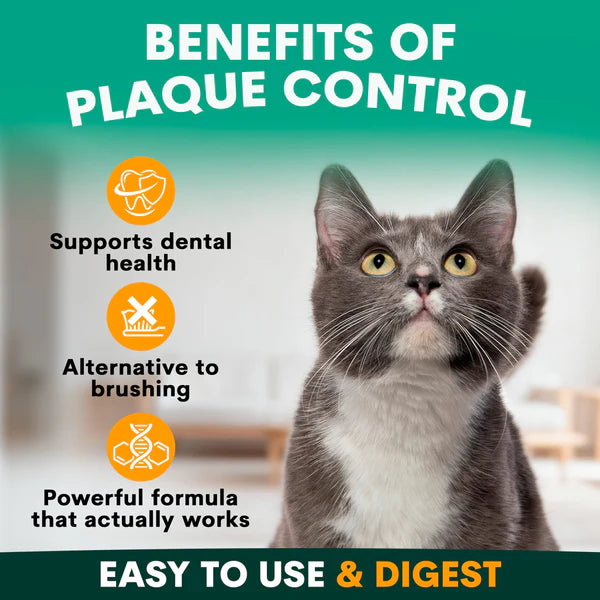 PetzPark – Plaque Control – For Cats