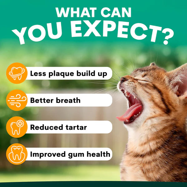 PetzPark – Plaque Control – For Cats - image 6