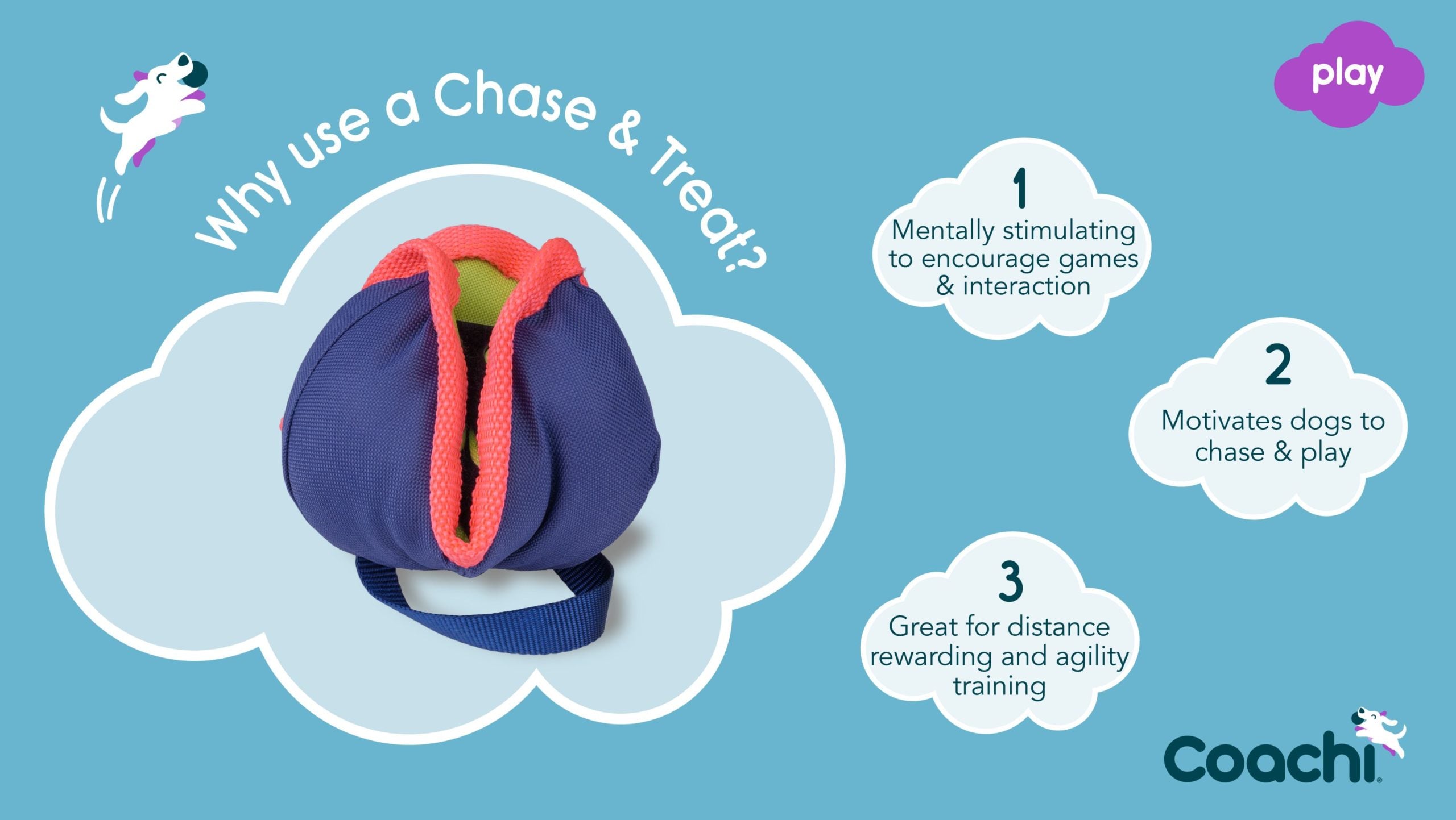 Company of Animals – Coachi – Chase & Treat - image 3