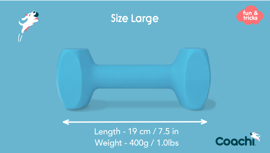 Company of Animals – Coachi – Training Dumbbell - image 4