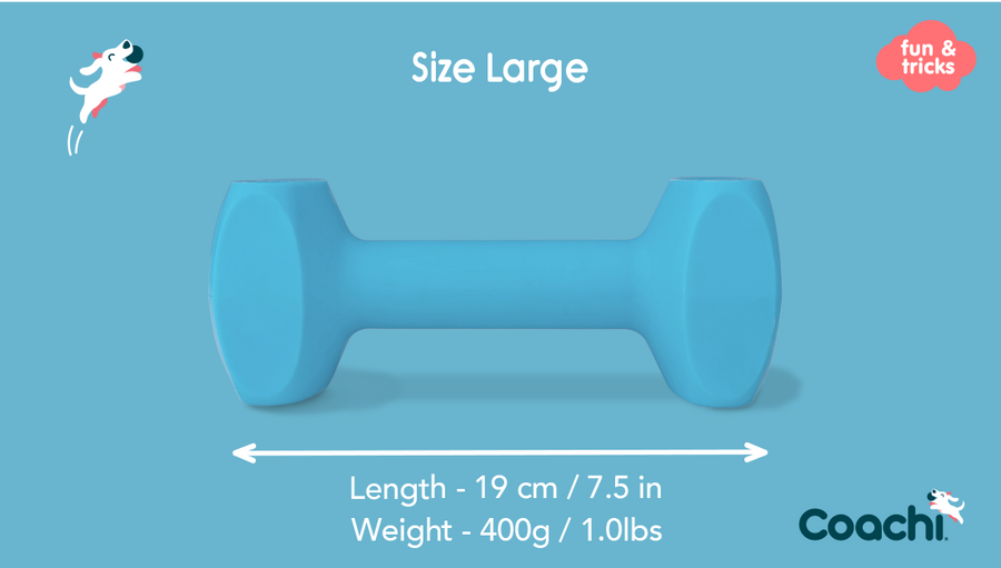 Company of Animals – Coachi – Training Dumbbell - image 4