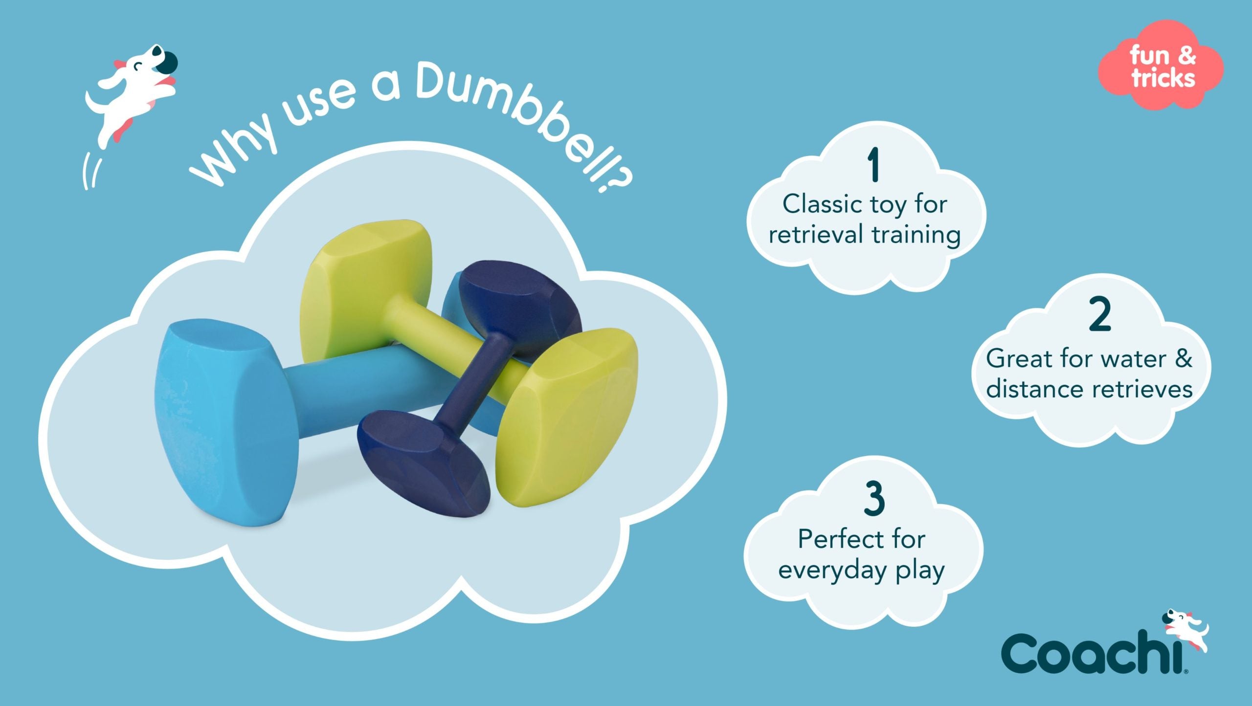 Company of Animals – Coachi – Training Dumbbell - image 2