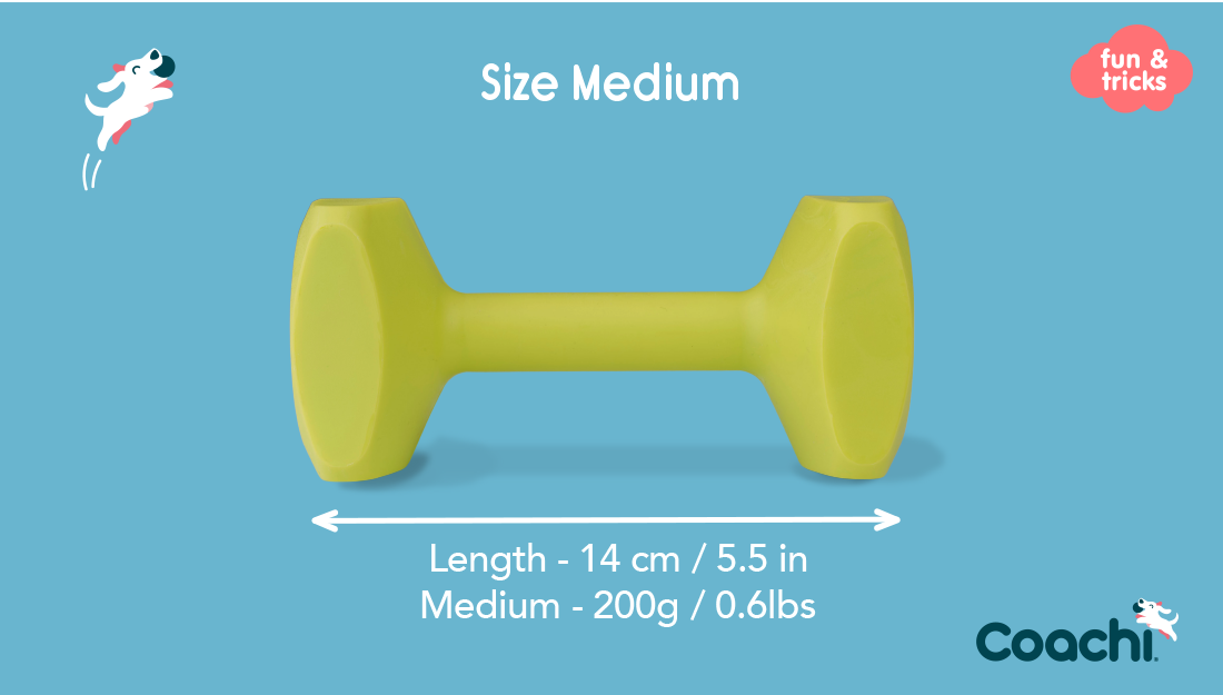 Company of Animals – Coachi – Training Dumbbell - image 3