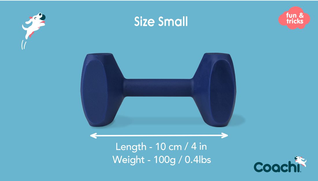 Company of Animals – Coachi – Training Dumbbell - image 5