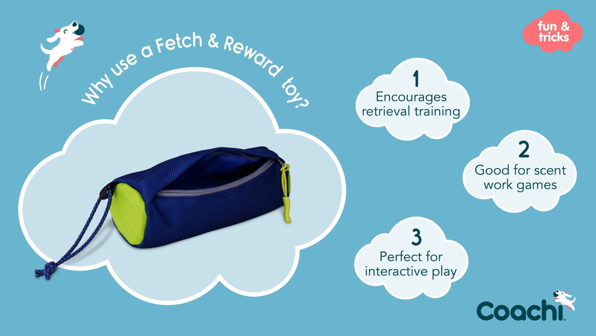 Company of Animals – Coachi – Fetch & Reward - image 4