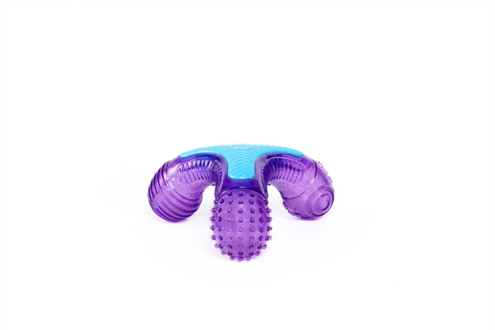 GiGwi – Multi-Sound Bone