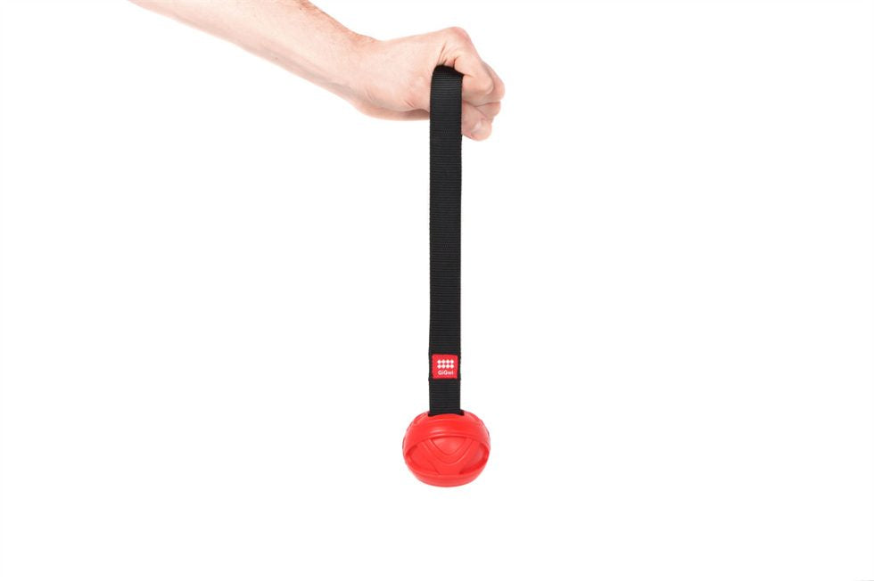 GiGwi – Go-Fetch – Slinger Ball - image 2