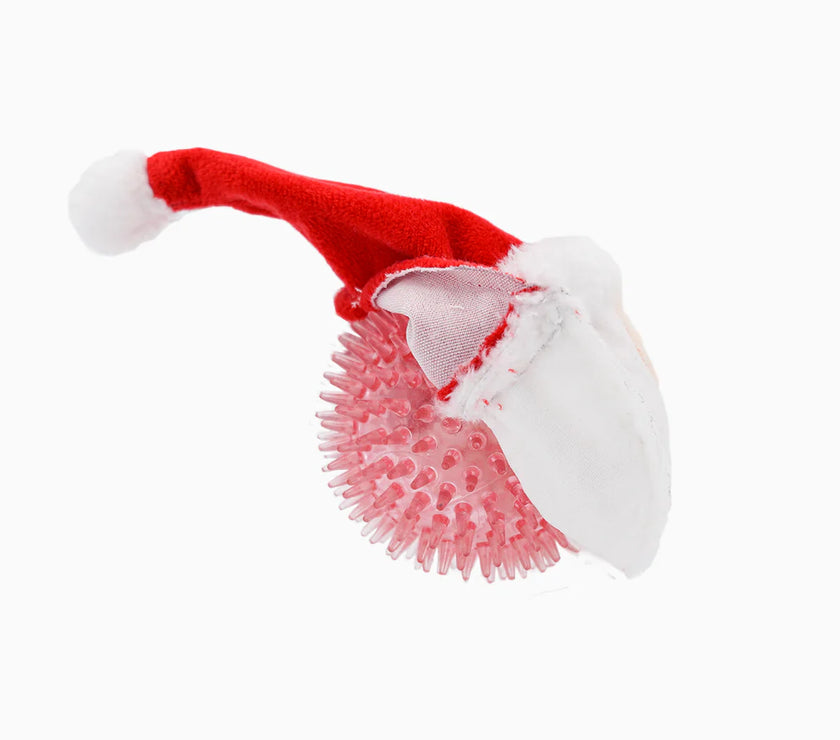 Happy Woofmas – Super Ball Santa Dog Toy