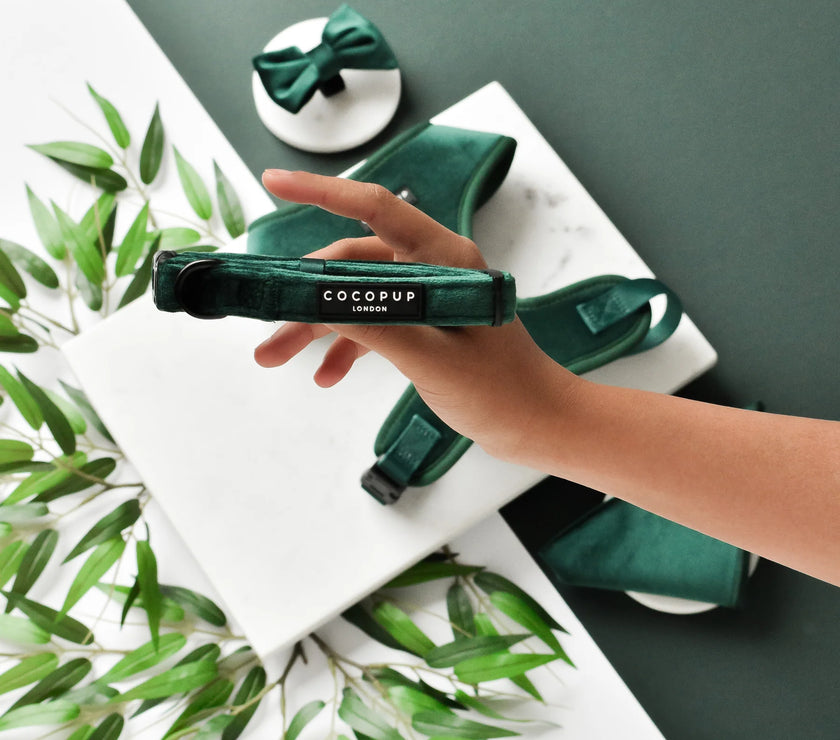 LUXE Dog Collar – Forest Green Velvet