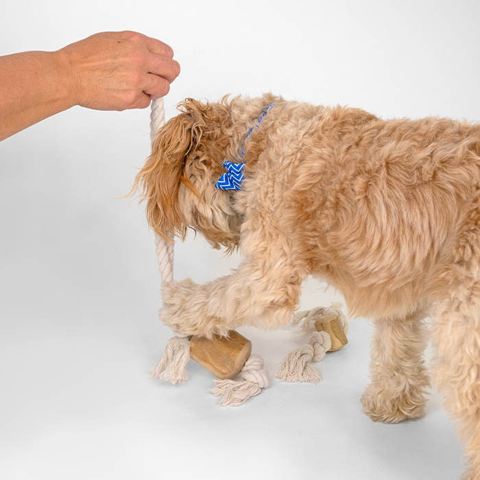 Dan & Sam – Pull and Tug – Coffee Wood Rope Toy
