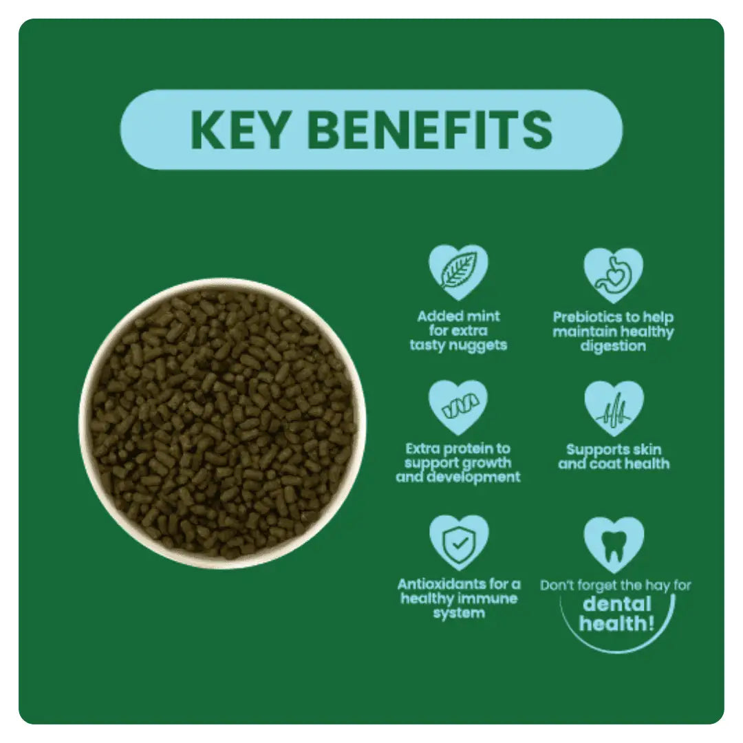 Burgess Excel – Junior & Dwarf Rabbit Nuggets with Mint