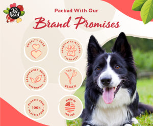 Pets 3-in-1 Shampoo Bar