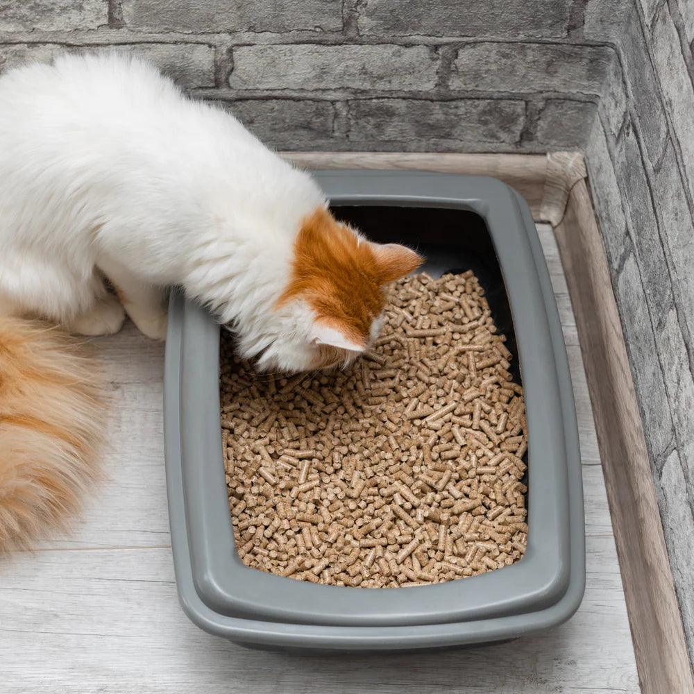 Elite Wood Pellets – Cat Litter – Compressed Pine Pellets