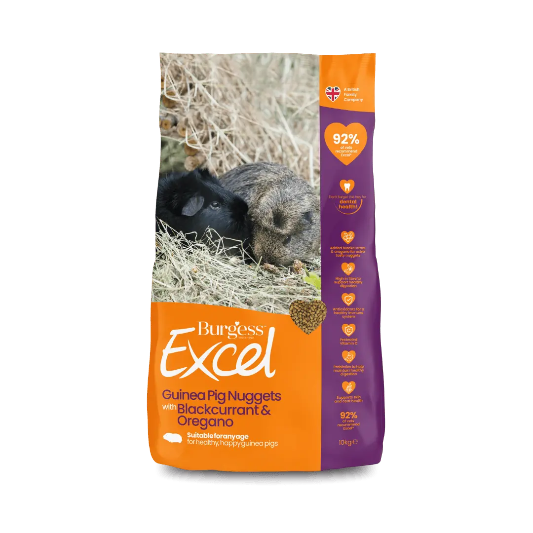 Burgess Excel – Guinea Pig Nuggets with Blackcurrant & Oregano