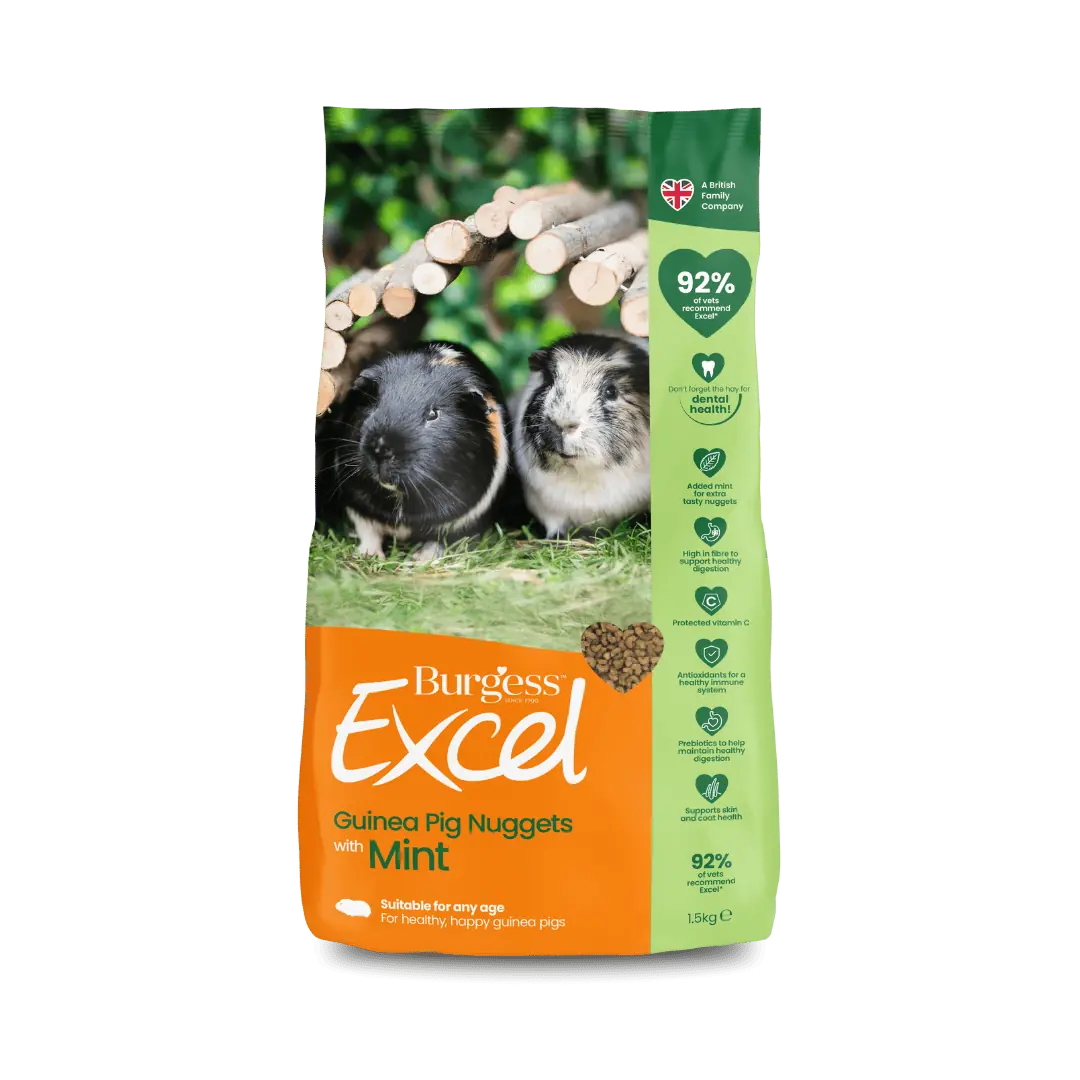 Burgess Excel – Guinea Pig Nuggets with Mint