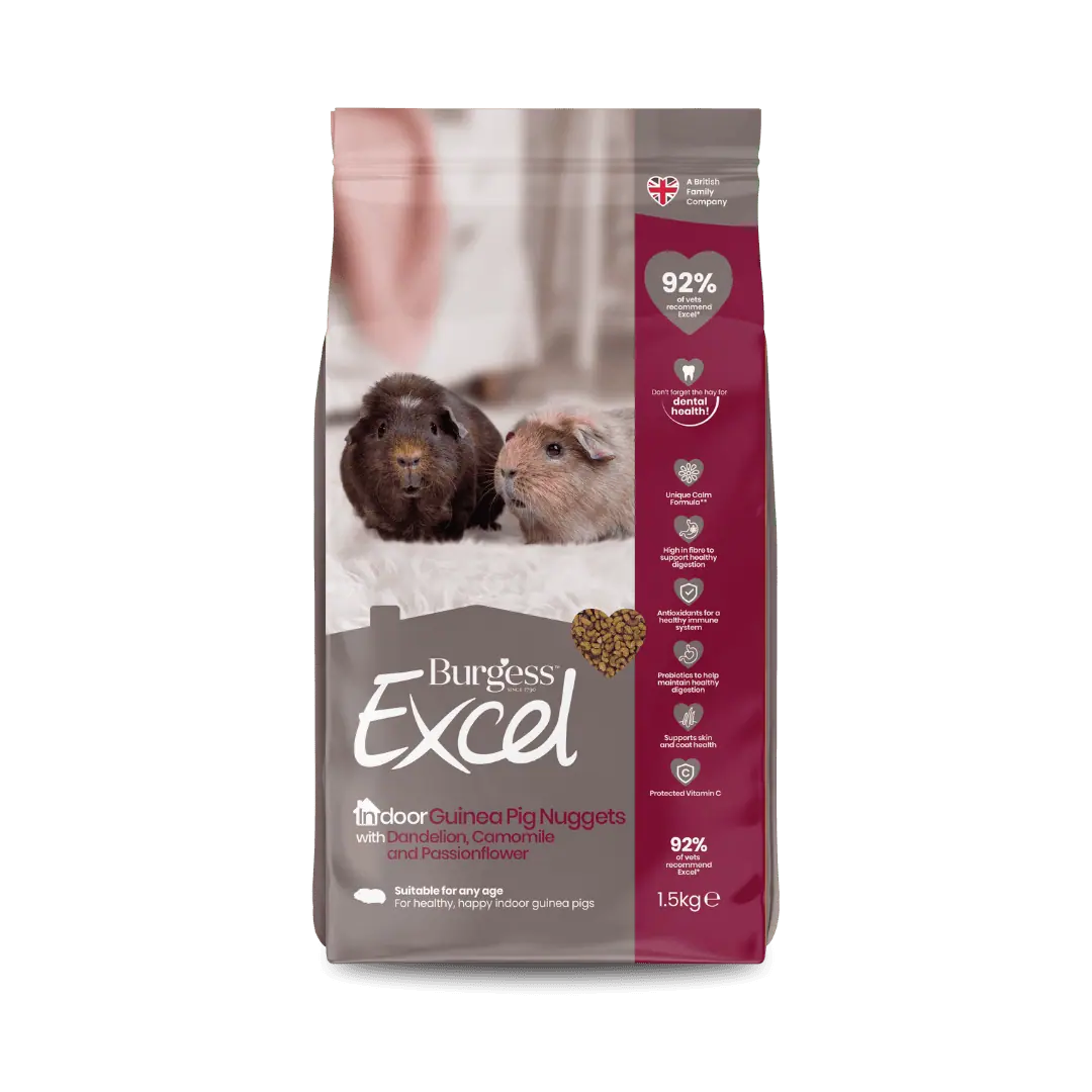Burgess Excel – Indoor Guinea Pig Nuggets