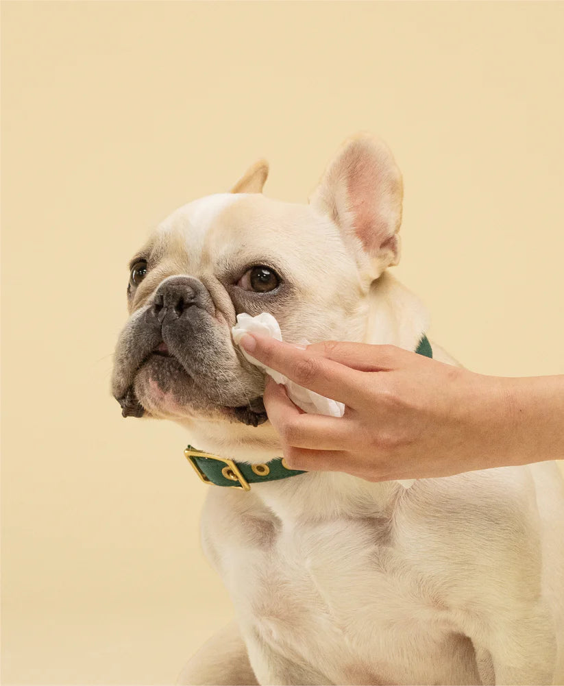 Squeaky – Probiotic Pet Eye Wipes - image 3