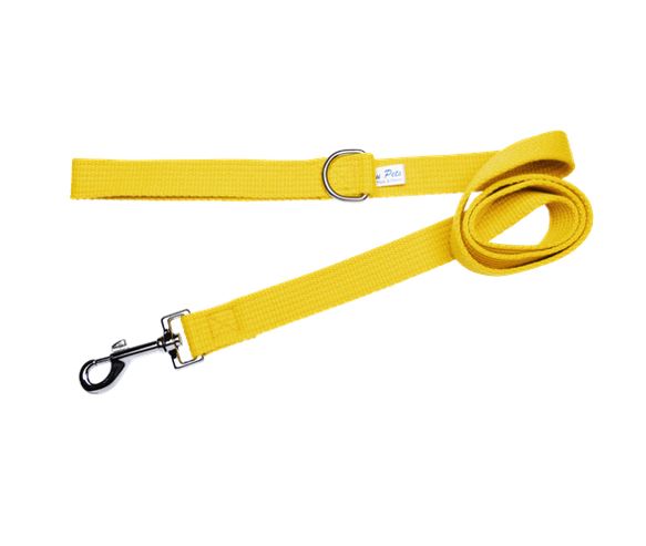 Beau Pets - Webbing Dog Lead – Gold