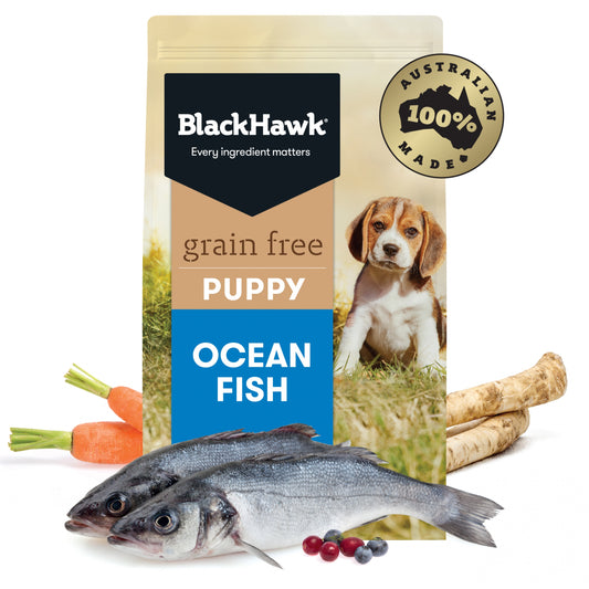 Black Hawk – Puppy – GRAIN FREE – Ocean Fish