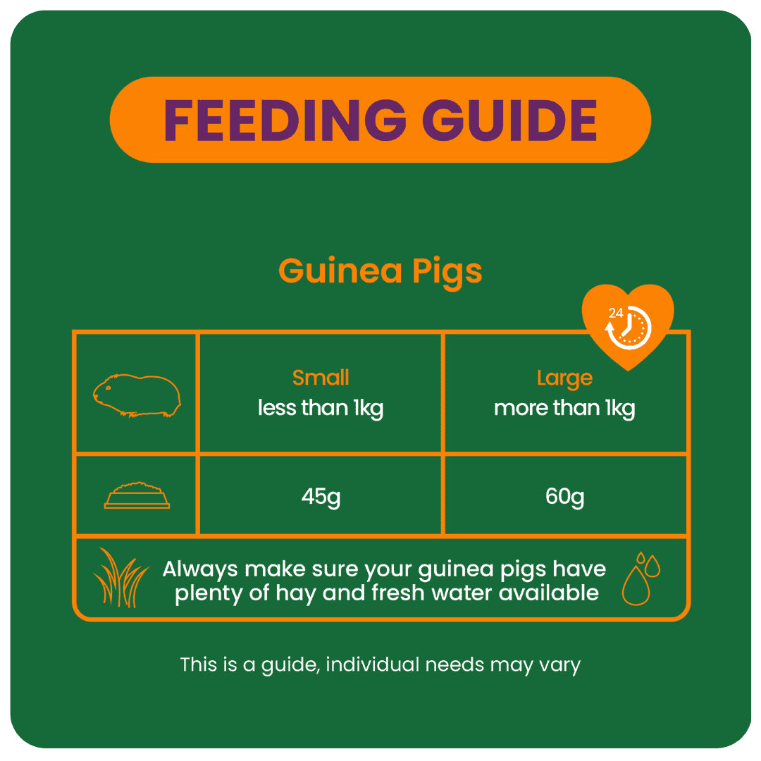 Burgess Excel – Guinea Pig Nuggets with Blackcurrant & Oregano