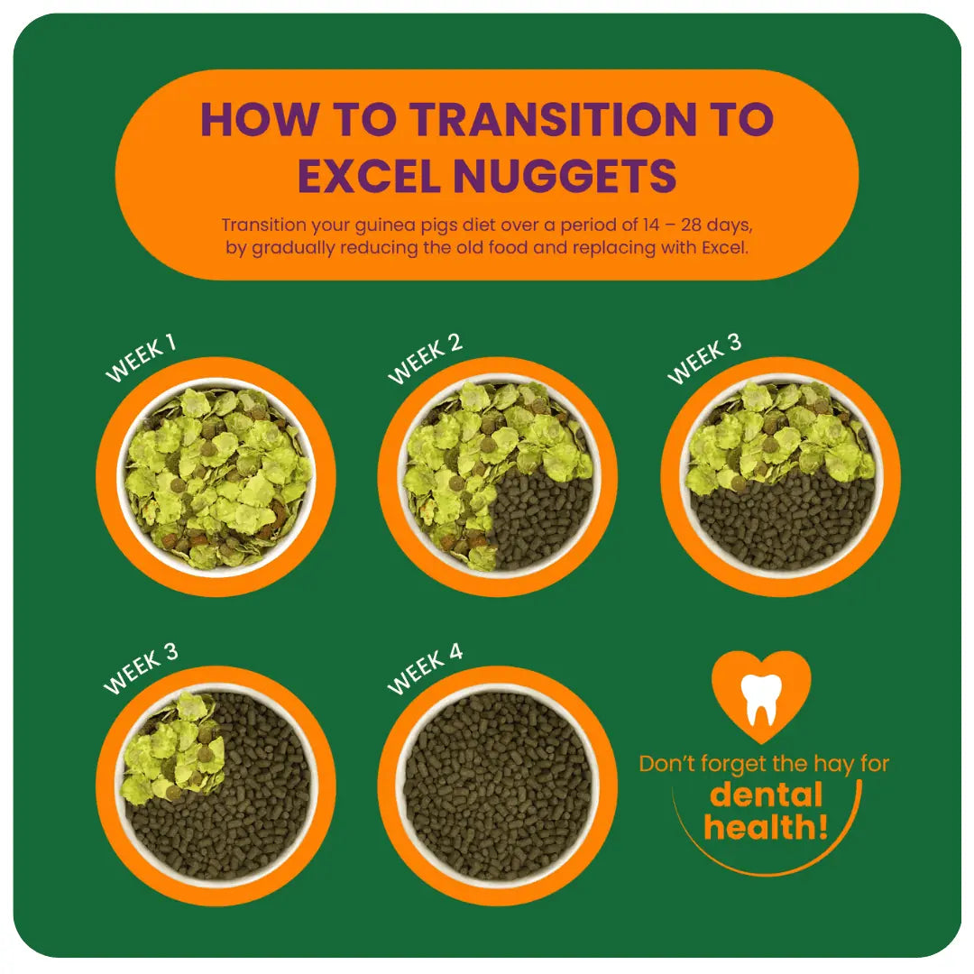 Burgess Excel – Guinea Pig Nuggets with Blackcurrant & Oregano