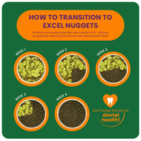 Burgess Excel – Guinea Pig Nuggets with Blackcurrant & Oregano