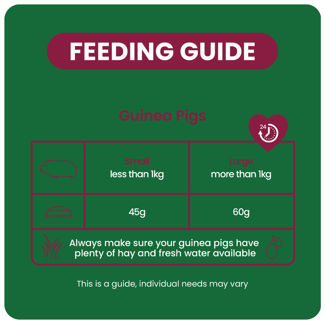 Burgess Excel – Indoor Guinea Pig Nuggets