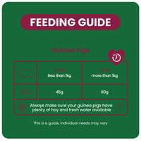 Burgess Excel – Indoor Guinea Pig Nuggets