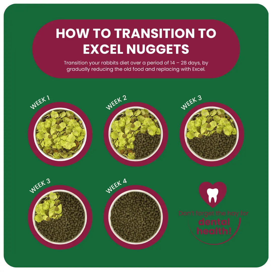Burgess Excel – Indoor Guinea Pig Nuggets