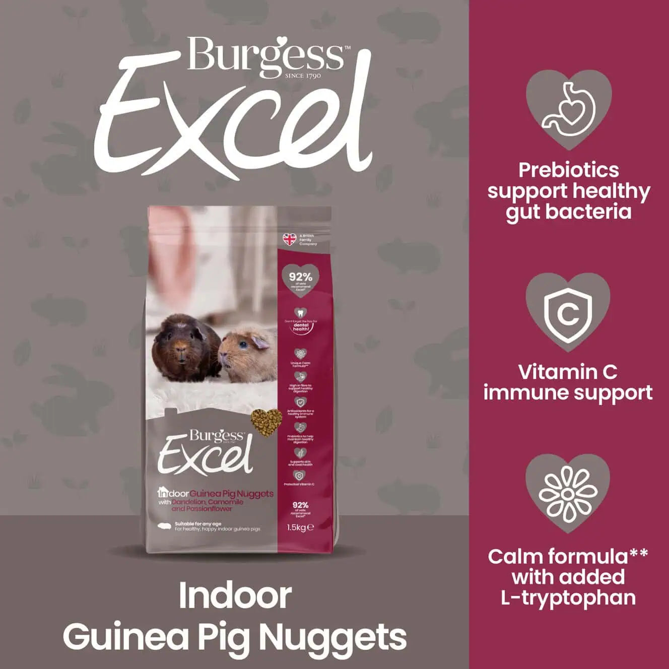 Burgess Excel – Indoor Guinea Pig Nuggets