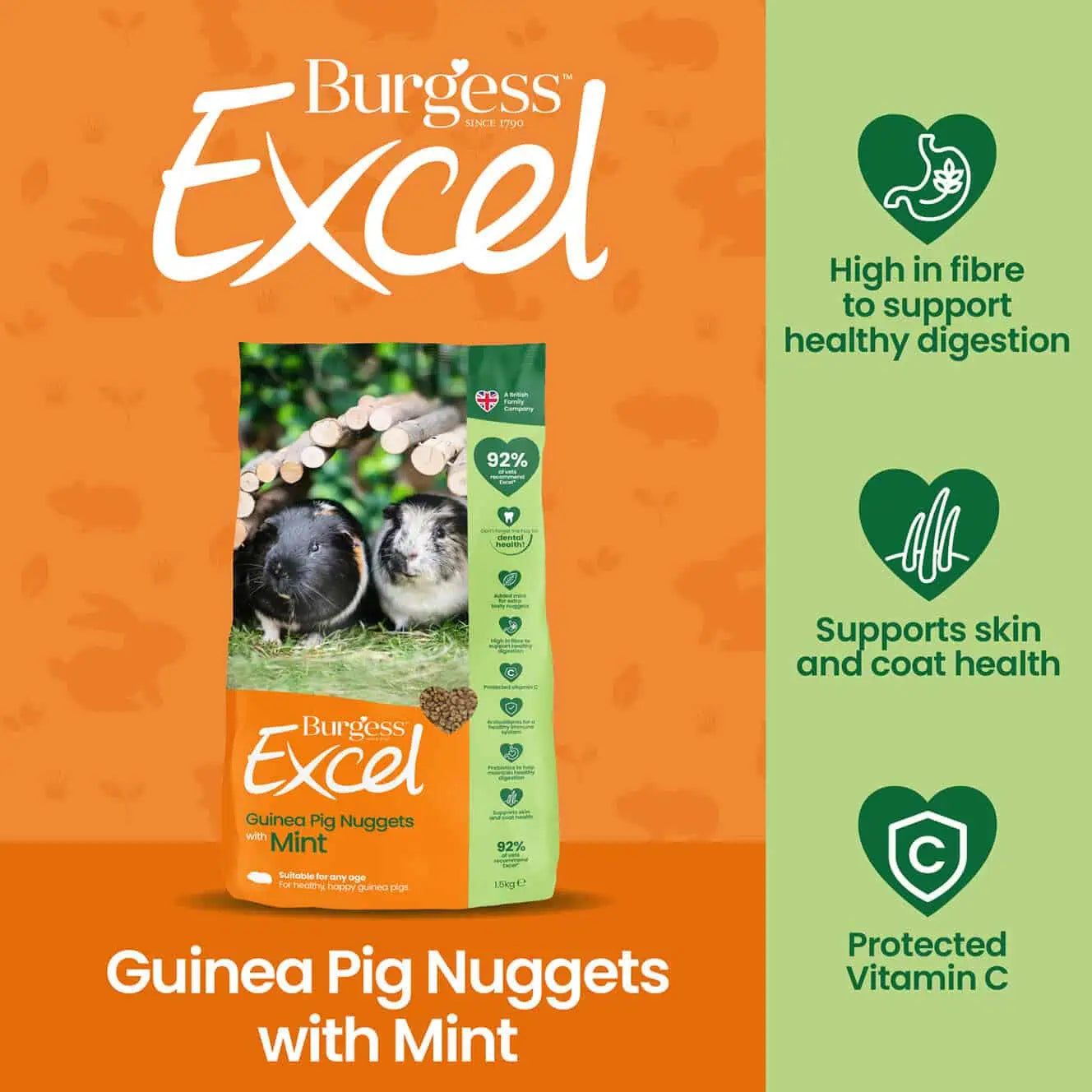 Burgess Excel – Guinea Pig Nuggets with Mint