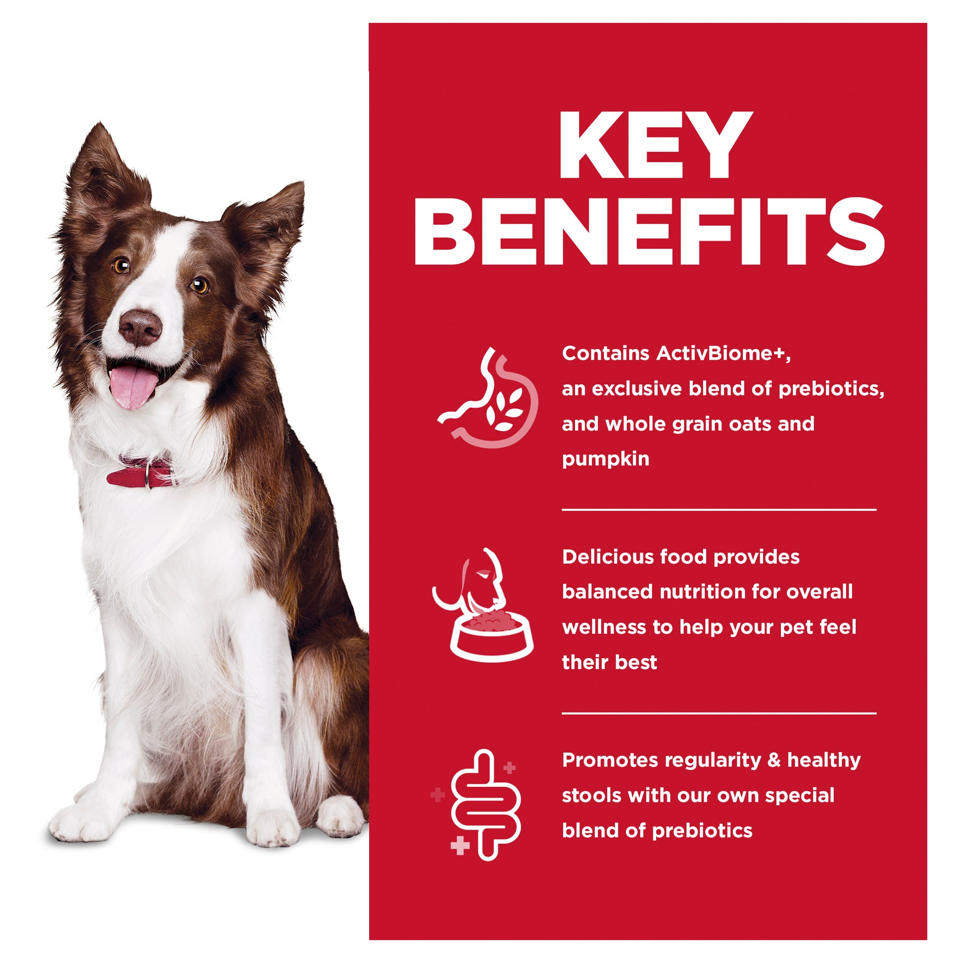 Hill’s – Science Diet – Adult Dog (1-6) – Perfect Digestion - image 4