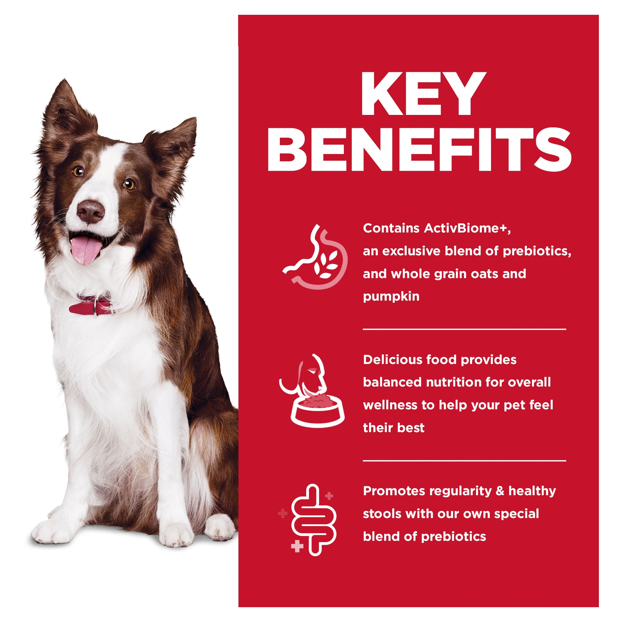 Hill’s – Science Diet – Adult Dog (1-6) – Perfect Digestion - image 4