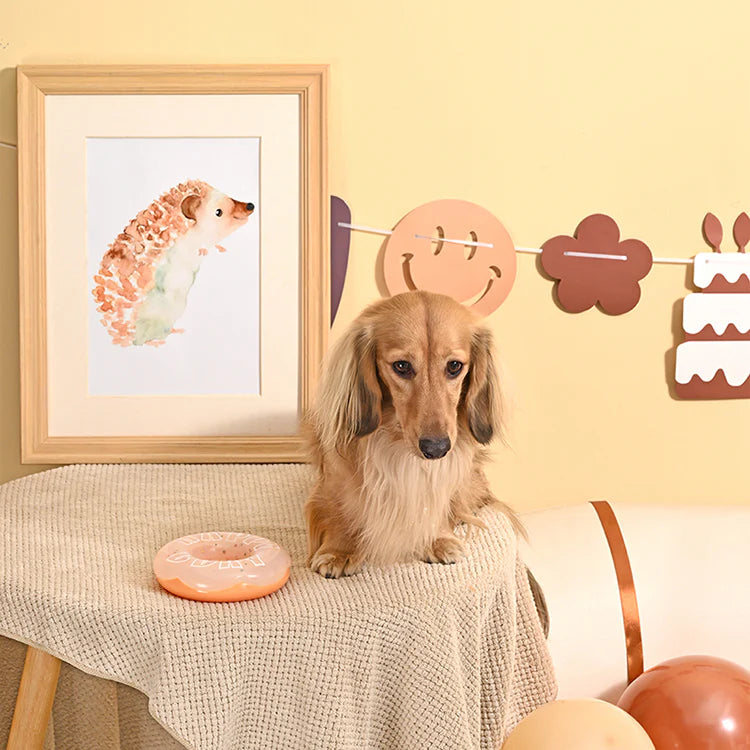 Hugsmart Yappy Birthday TPR Donut Dog Chew Toy with Sweet Scent - image 3