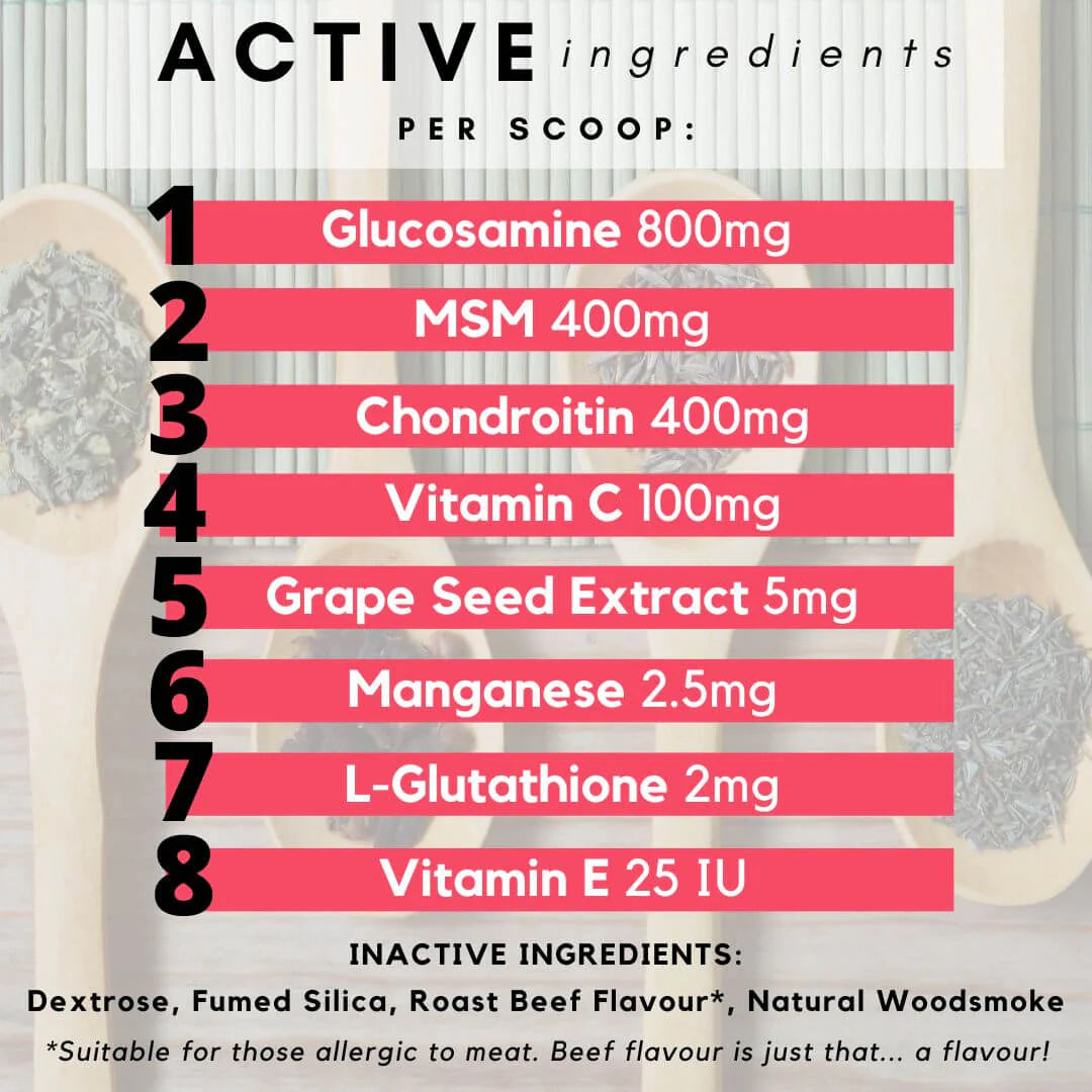 PetzPark – Hip + Joint – For Dogs