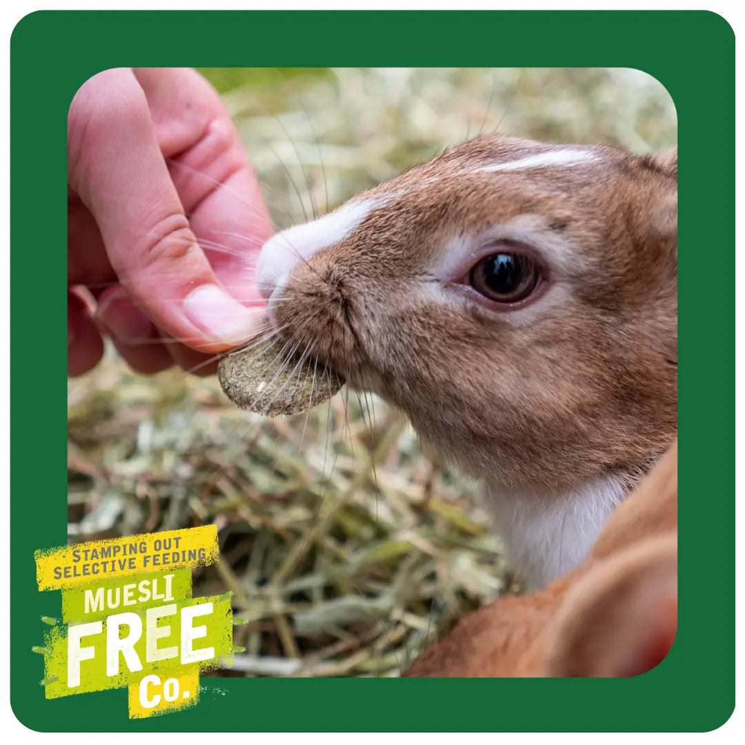 Burgess Excel – Nature Snacks – Meadow Munchies - image 4