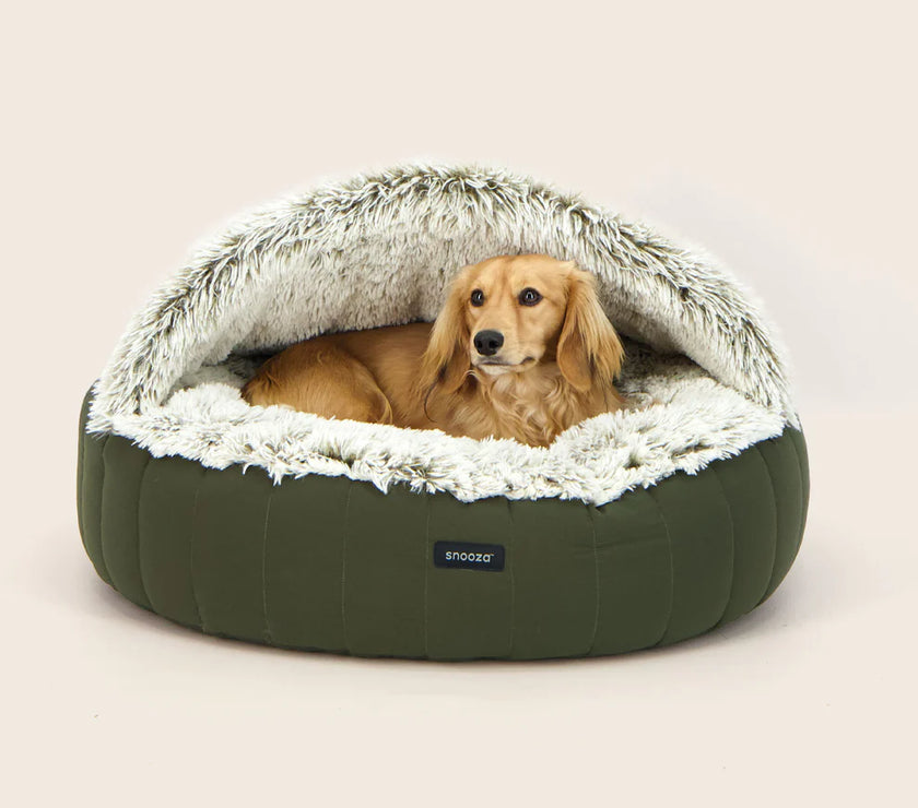 Snooza – Dream Cloud Hoodie – Olive