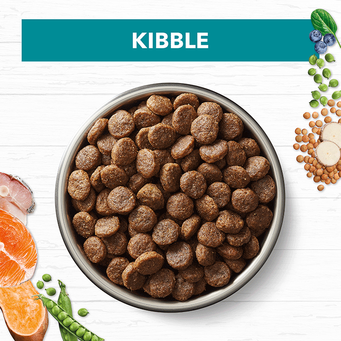 Adult Dog Food – Salmon & Ocean Fish -GRAIN FREE