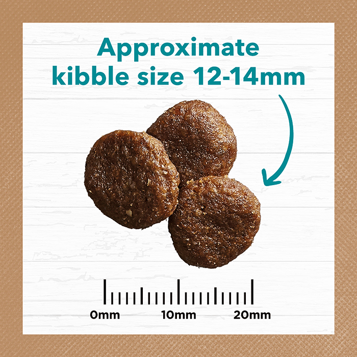 Adult Dog Food – Salmon & Ocean Fish -GRAIN FREE