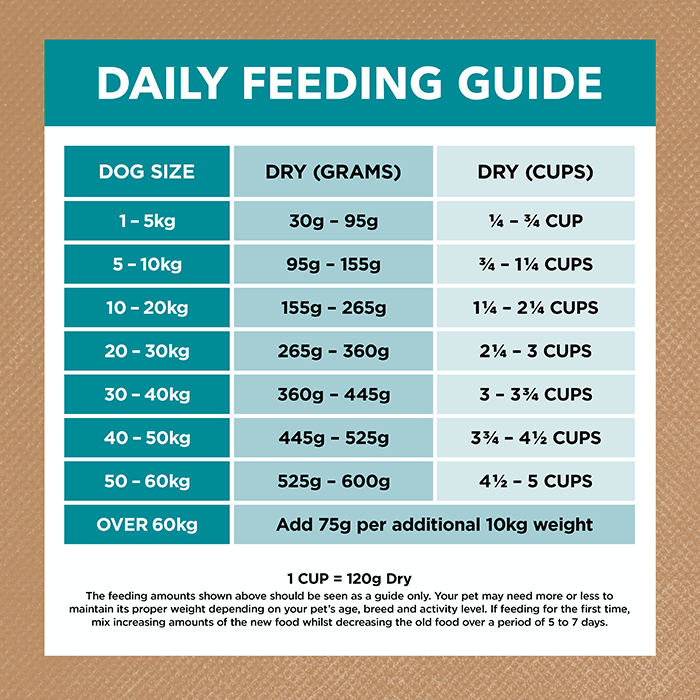 Adult Dog Food – Salmon & Ocean Fish -GRAIN FREE