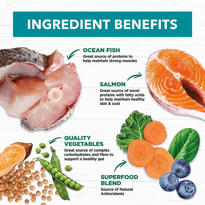 Adult Dog Food – Salmon & Ocean Fish -GRAIN FREE