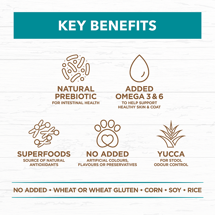 Adult Dog Food – Salmon & Ocean Fish -GRAIN FREE