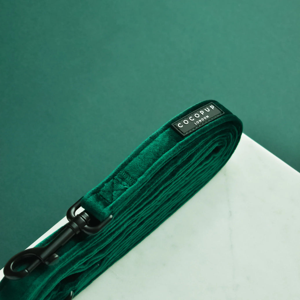 LUXE Dog Lead – Forest Green Velvet