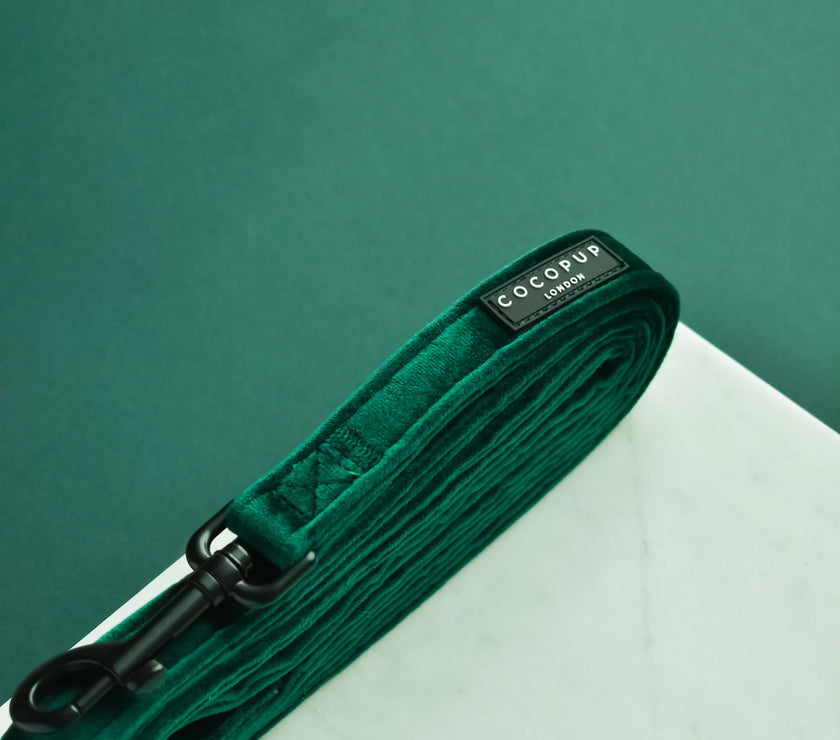 LUXE Dog Lead – Forest Green Velvet