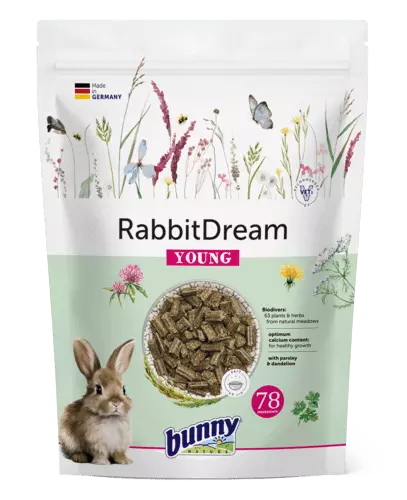 Bunny Nature – RabbitDream – Young