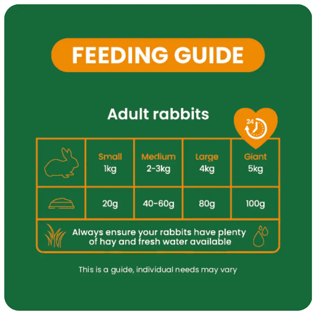 Burgess Excel – Indoor Rabbit Nuggets