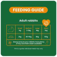 Burgess Excel – Indoor Rabbit Nuggets